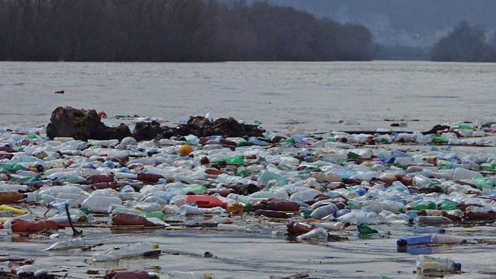 Avertisment îngrijorător Poluarea râurilor cu substanțe farmaceutice ar putea da naștere unor superbacterii