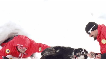 Risc însemnat de avalanșe în Munţii Bucegi. Avertisment pentru turiştii care merg pe Valea Prahovei