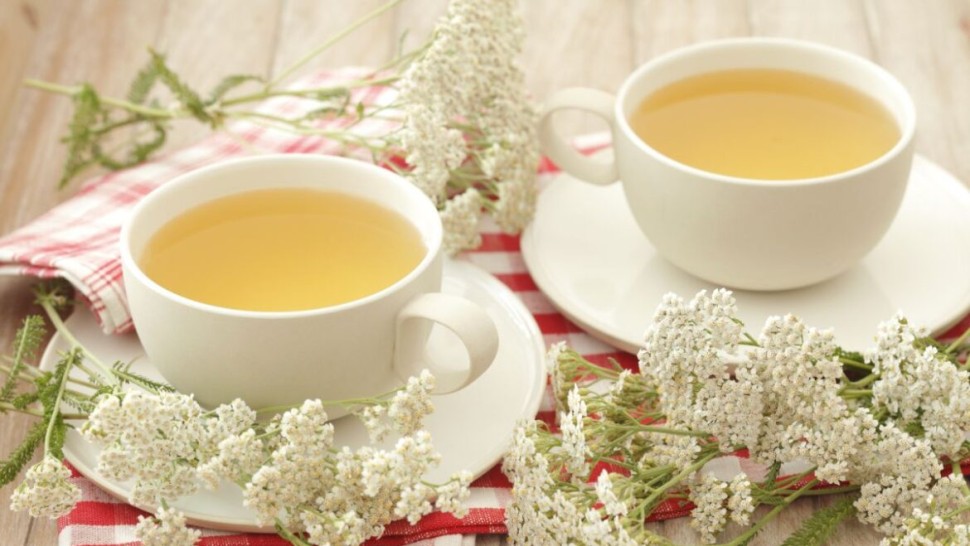 Ceai de coada șoricelului. Care sunt beneficiile acestuia