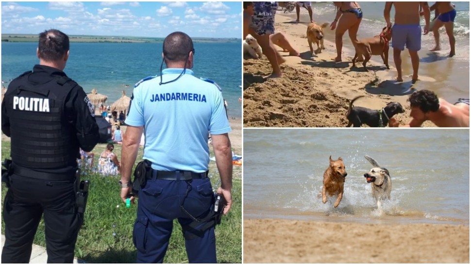 Klaus Iohannis a promulgat legea privind accesul animalelor de companie pe plajă. Amenzile ajung la 10.000 de lei