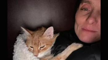 Povestea cruntă a Iuliei Khromtsova modelul ucrainean care a evadat din iadul de la Irpin cu trei pisici și un câine