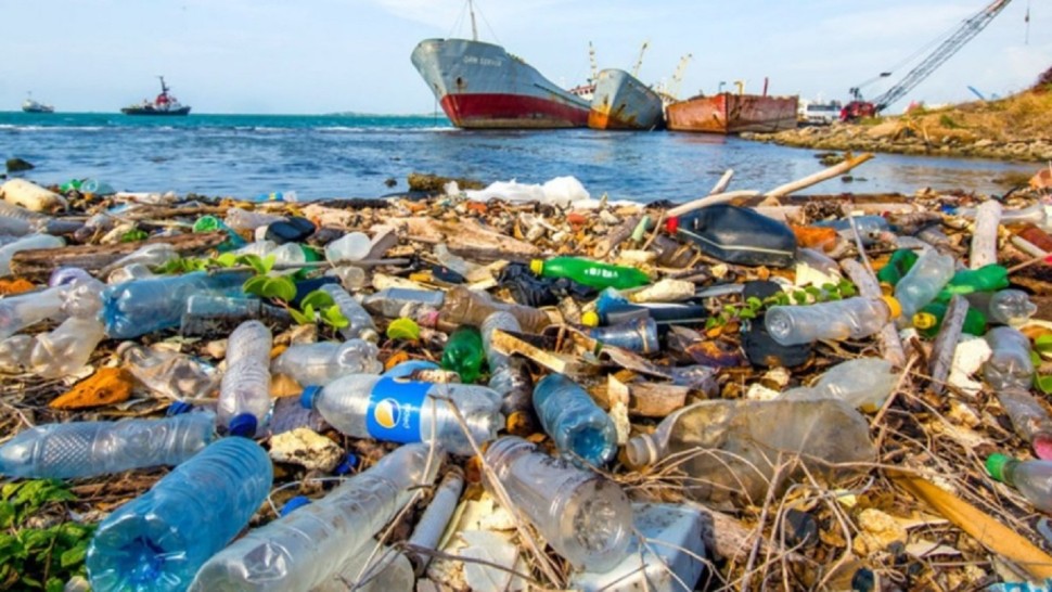 Un studiu a relevat în premieră poluarea cu plastic a sângelui uman. Particulele sunt acolo şi sunt transportate în tot corpul