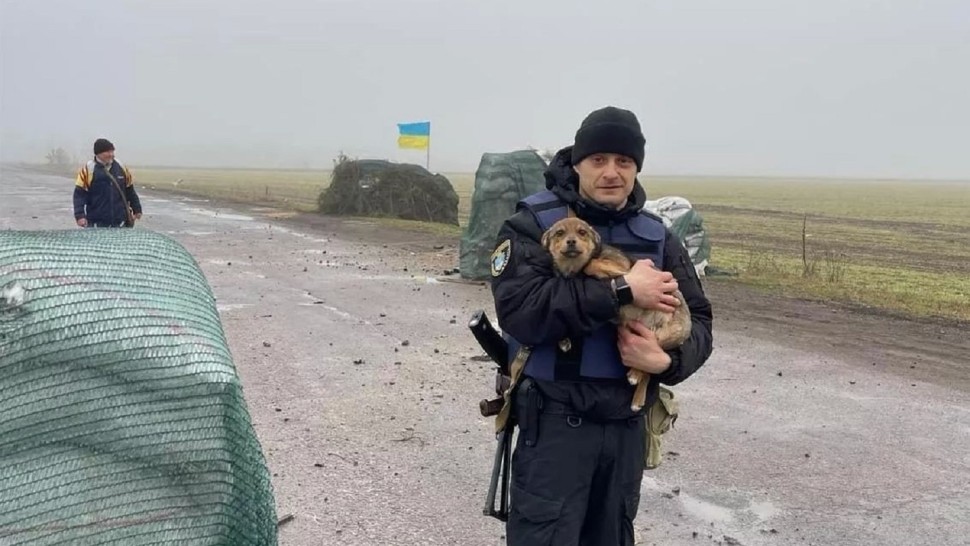 Un pui de câine singurul supraviețuitor după un atac al rușilor a fost adoptat de polițiștii ucraineni