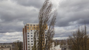 Cod galben de VÂNT PUTERNIC în România Avertizare meteo pentru București și alte 10 județe