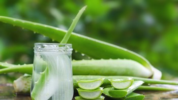 Aloe Vera are o mulțime de beneficii. Poți face chiar și măști acasă din ea