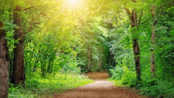 Primul traseu turistic din România marcat cu coduri QR. Oferă informații în trei limbi română maghiară şi engleză