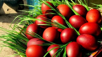 Ouă coapte. Cel mai original mod de a le vopsi de Paște