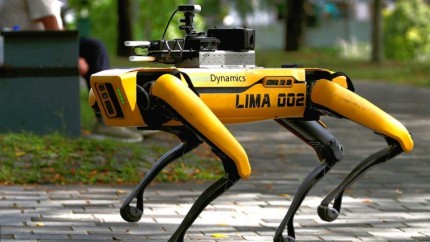 China folosește un câine robot ca să se asigure că oamenii respectă lockdown-ul