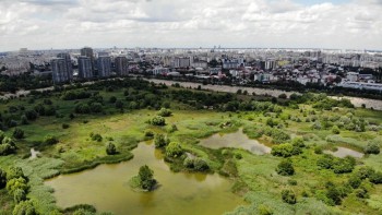 Cum a apărut Delta Văcarești într-un cartier din București. Comuniștii au abandonat un proiect măreț