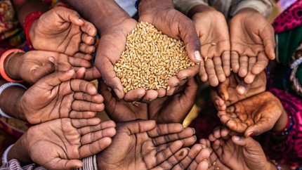 Alertă la nivel mondial. Record al prețurilor la alimente în întreaga lume. Scumpirile vor continua