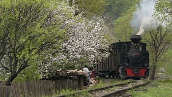 Top 5 locuri din România unde poți ajunge cu trenul. Trebuie neapărat să le vizitezi