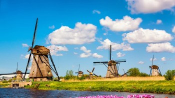 Lucruri inedite despre Olanda țara care are peste un sfert din terioriu sub nivelul mării. Celebrele lalele olandeze sunt de fapt turcești