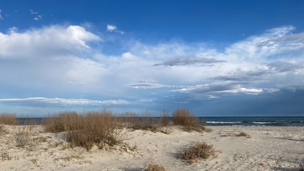 Reguli noi pentru plajele sălbatice din România. Ce se poate face și ce e INTERZIS la Sulina Sfântu Gheorghe Portiţa Vadu şi Corbu