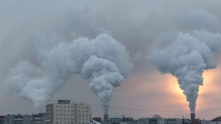 Cetăţenii UE pot primi despăgubiri pentru pagubele provocate sănătăţii de aerul poluat din zona în care locuiesc