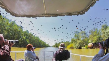 Eugen Tomac liderul PMP spune că nu suspendarea participării României la târgurile de turism este soluția. Ce trebuie să facă Ministerul Turismului