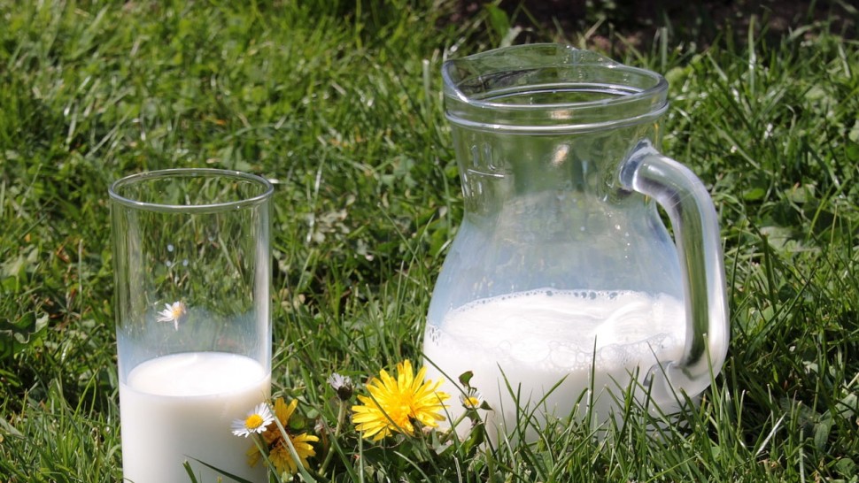 Beneficiile laptelui de măgăriță. Consumă-l mai des