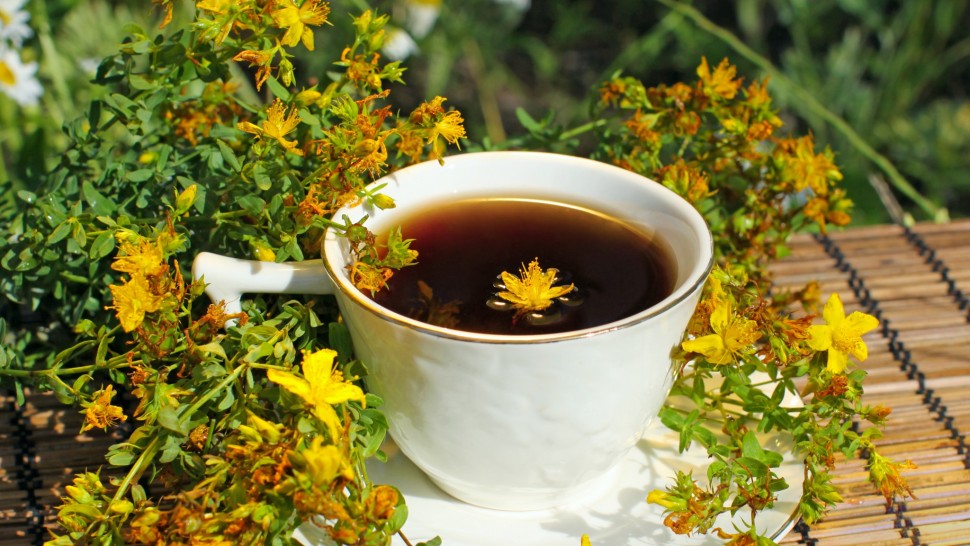 Beneficiile ceaiului de sunătoare. Poate scădea starea de nervozitate