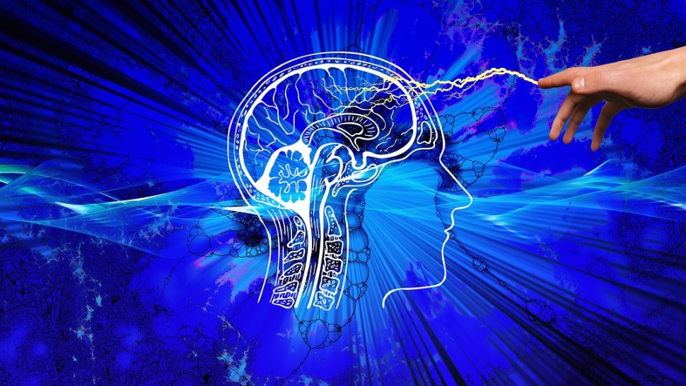 Cele mai bune exercițiile zilnice de memorie Sfaturi de antrenare a creierului de la un neurocercetător