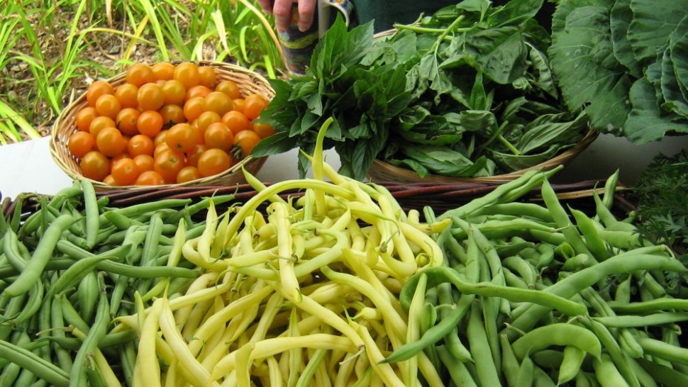 Fasolea verde leguma care te ajută să slăbești reglează glicemia și previne anemia. De ce nu trebuie consumată în exces