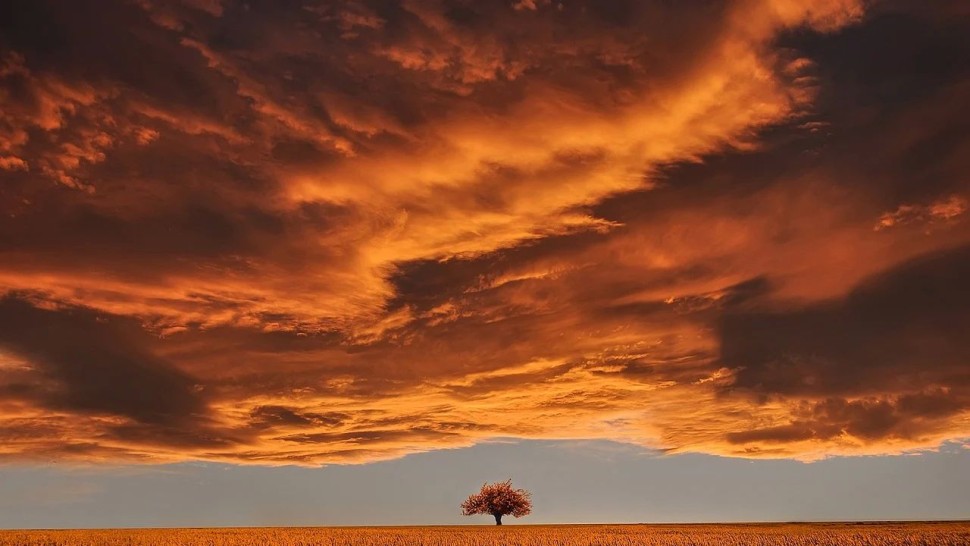 Soarele devine din ce în ce mai ciudat. Erupții continue de la începutul anului. Este imprevizibil