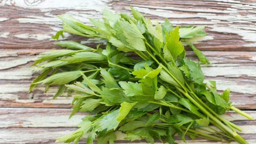 Beneficiile ceaiului de leuștean. Poate fi un bun aliat dietelor