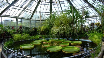 Top 5 Grădini Botanice din România