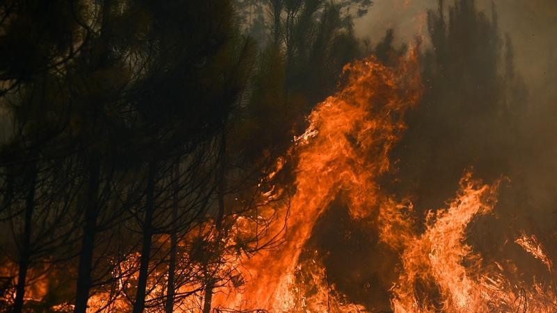 Fumul de la incendiile din Canada a ajuns în Europa. Ce țări sunt afectate