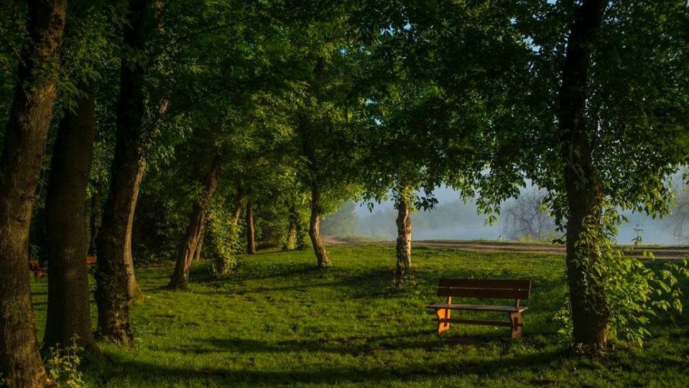 Top 5 păduri pe lângă București. Nu ezita să mergi și tu