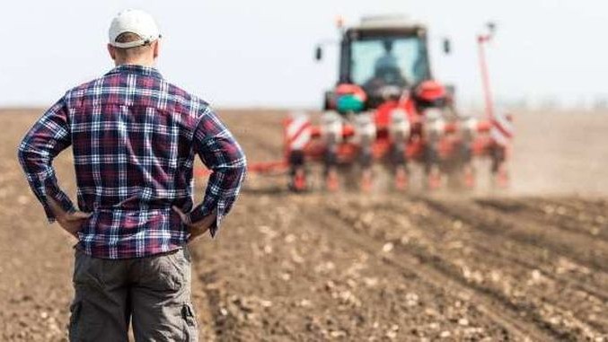 Se dă un ajutor de stat pentru legume-fructe și cartofi. Câți bani ar putea primi fermierii