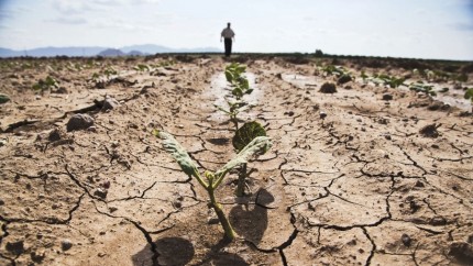 Localitățile din România rămân fără apă. Zonele unde seceta a epuizat resursele disponibile