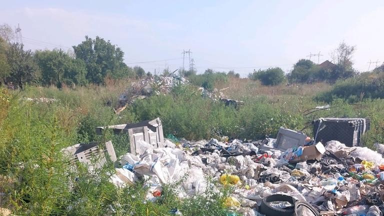 Controale ale Gărzii de Mediu poliţiştilor şi jandarmilor la Sintești. S-au dat amenzi de sute de mii de lei