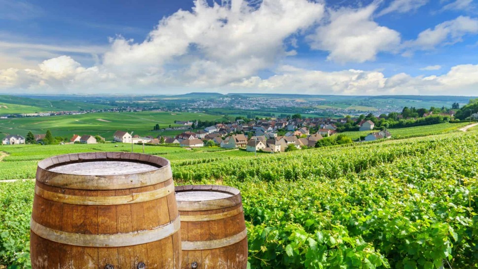 Ești iubitor de vin și vrei să încerci tot ce e nou Iată top 5 zone viticole din Europa