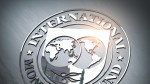 FMI suține impozitarea globală pentru corporațiile mari. Impozitul minim pe profit va genera anual 150 de miliarde de dolari