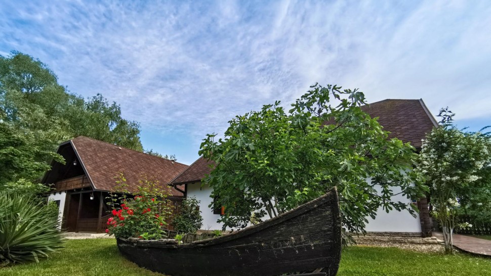 Uzlina locul de poveste din Deltă. Poți ajunge doar cu barca iar peisajele sunt de excepție