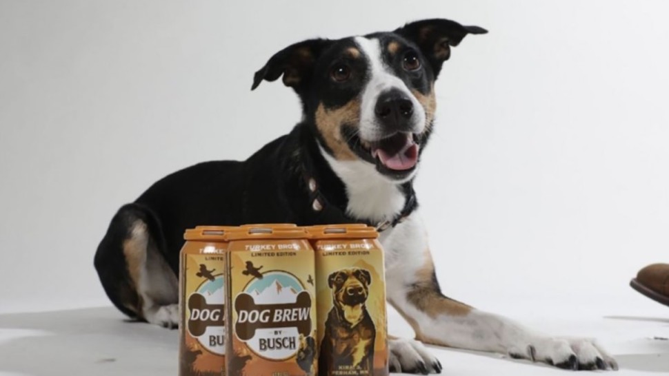 Bere pentru câini lansată în SUA. Acum poți bea cu animalul de companie