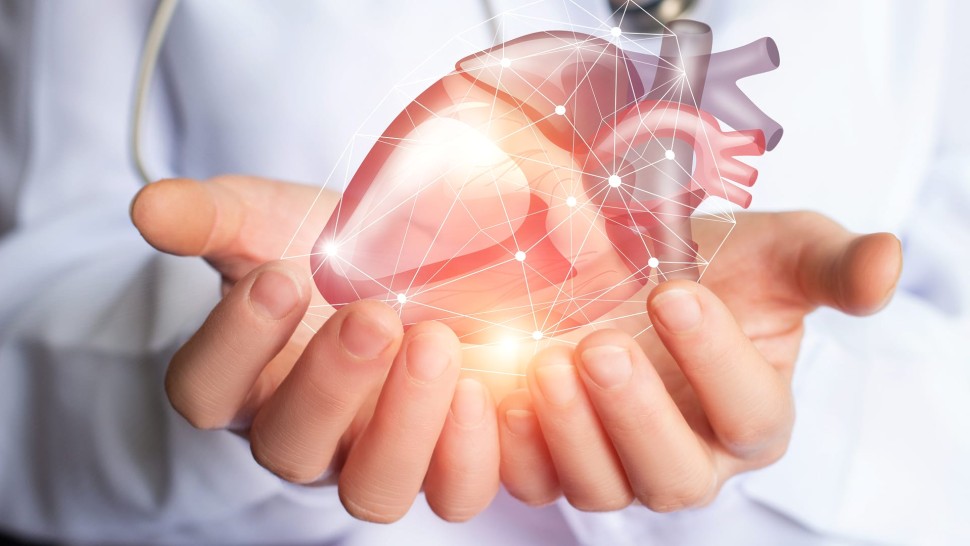 Alimentele minune care protejează inima. Toată lumea ar trebuie să le consume pentru sănătate