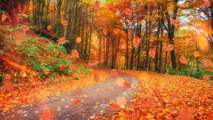 Prognoza meteo ANM continuă să uimească. Valul de căldură continuă în România. Când schimbă vremea foaia