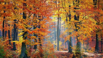 Cum va fi vremea în octombrie. Brumărel vine cu temperaturi de 38 de grade Celsius