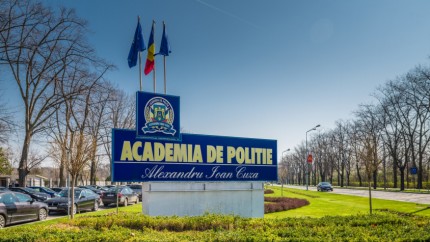 O turmă de oi a mâncat toate florile din fața Academiei de Poliție. Mai multe echipaje de poliție au intervenit