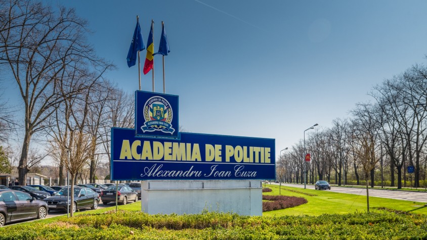 O turmă de oi a mâncat toate florile din fața Academiei de Poliție. Mai multe echipaje de poliție au intervenit