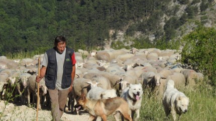 Moartea unui cioban român e plânsă de o întreagă comunitate de italieni. Nicola înveseleai munții cu fluierăturile tale