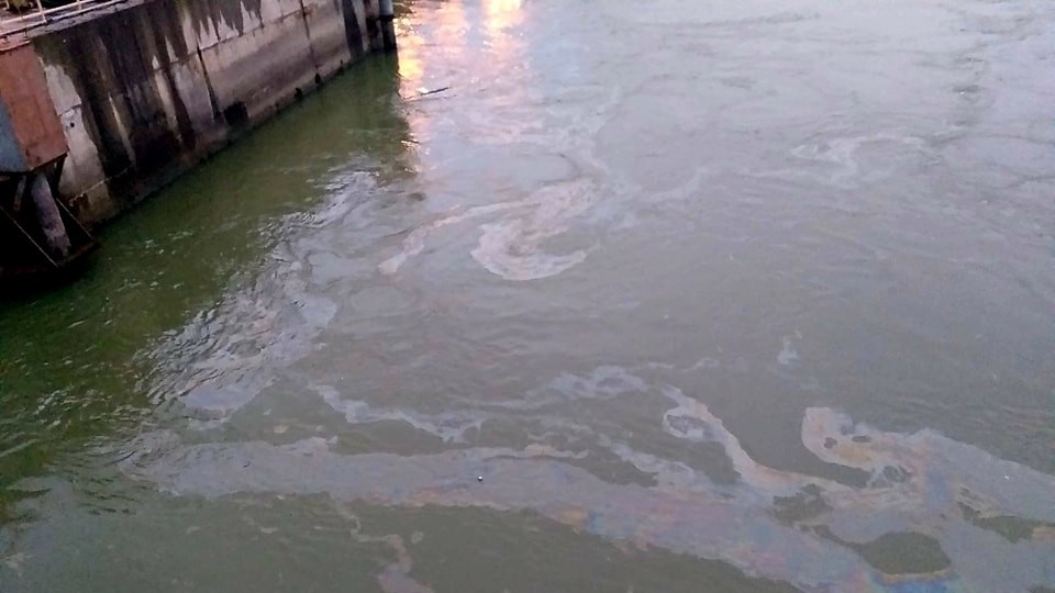 Autoritățile sunt în alertă o bacterie extrem de periculoasă a fost descoperită în Dunăre în concentrații mari