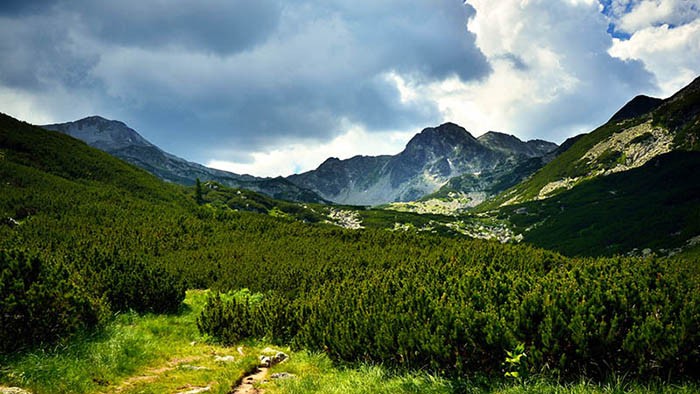 Cum încearcă o austriacă să pună mâna pe 10.000 de hectare în Retezat. Femeia a fost împroprietărită ilegal