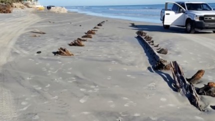 O structură misterioasă a început să iasă din nisip pe o plajă din Florida. Explicațiile specialiștilor