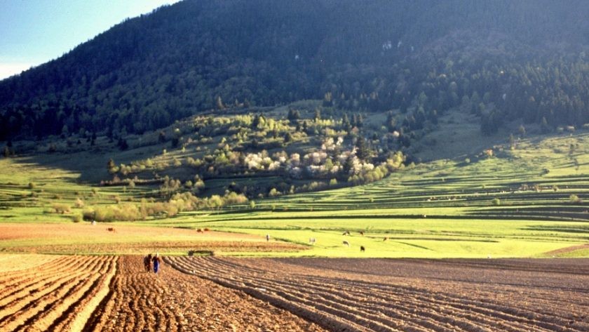 Terenul arabil din România e mai scump decât în Franța. În ce țară din UE pământul este cel mai scump