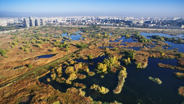 Administraţia Parcul Natural Văcăreşti va avea în acest an cheltuieli de 64 milioane de lei dintre care 14 milioane lei pentru investiţii