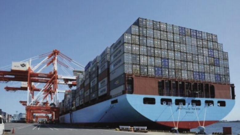 Un copil s-a ascuns de prietenii lui într-un container și a fost găsit după 6 zile în altă țară
