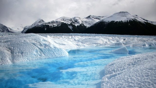Topirea Oceanului Arctic eliberează viruși antici. Cât de periculoși sunt aceștia pentru omenire