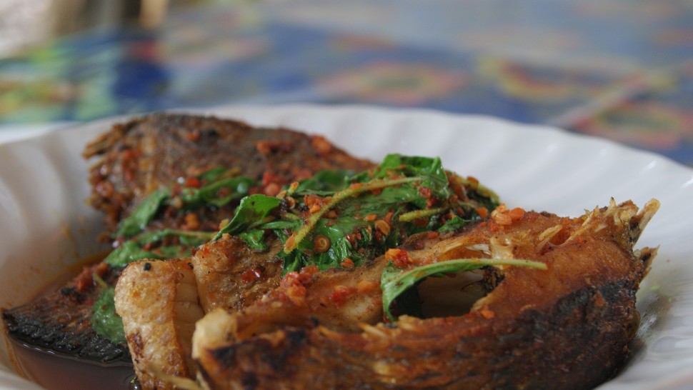 Rețetă crap cu legume la cuptor. Rapid și delicios