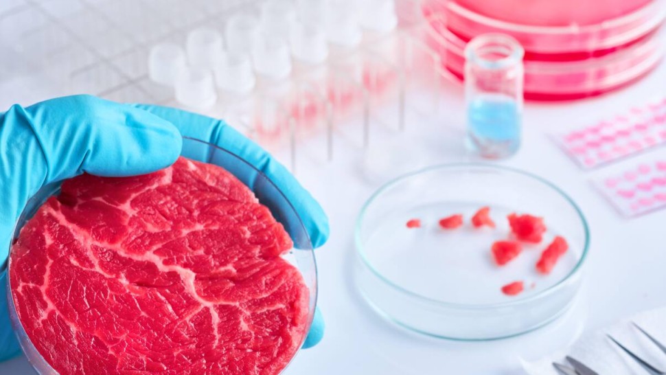 Carnea sintetică va ajunge în magazine. UE a dat acordul de principiu pentru producerea ei